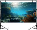 Ocean Floor Fish Tank Background Underwater Rock Aquarium Background Under The Sea Terrarium Backgrounds Aquatic Plants Sunlight Fish Tank Backgrounds Tropical Fish Aquarium Wallpaper 72x24in by GreenHaven Gardens
