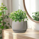 G EPGardening Ceramic Pots for Plants 7 Inch - Large Ceramic Planters for Indoor Plants Outdoor Modern Flower Pot with Drainage Holes and Saucer for Office Garden Patio Grey by GreenHaven Gardens