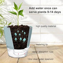 Hayder Plant Pots 6 inch Set of 6, Self Watering Flower Pots Indoor Outdoor, Self Watering Planters with Drainage Hole & Clear Saucer Reservoir by GreenHaven Gardens