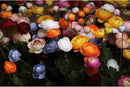 Artificial Silk Flowers Ranunculus Fake Flower,Suitable for Core Decorations,Weddings,Homes,Artistic Decorations,and Props (Pink) by CozyNest Decor