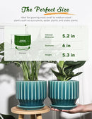 AISBUGUR Plant Pots 6 inch Ceramic Pots for Indoor Plants Set of 2 Flower Pots Unique Crackle Glaze Design Plant Pots with Drainage Hole and Saucer Come with Drainage Nets (Aqua Green) by GreenHaven Gardens