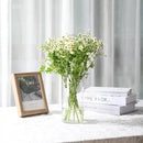 Clear Flower Vase, Non-breakable Vases, 6" W x 10" H, Acrylic Vase, Aesthetic Room Decor Cylindrical Modern Flower Vases for Table Centerpiece, Home Decor, Women Floral Arrangement Gift by GreenHaven Gardens