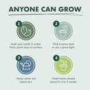 Indoor Herb Garden Seed Starter Kit - Herbal Tea Growing Kits, Grow Medicinal Herbs Indoors, Seeds for Planting, Soil, Plant Markers, Pots, Infuser, Planter Box, Gardening Gifts for Women by GreenHaven Gardens