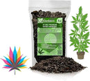 Premium Happy Plant Potting Soil Mix - Optimal Nutrient-Rich Blend for Thriving and HIGH-Yield Herbal Plants - 3 Quart by GreenHaven Gardens