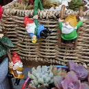 Set of 3 Cute Climbing Gnome Figurines Flower Pot Hugger, Resin Hanging Gnomes Statue Outdoor Decor Fence Ornaments for Patio Lawn Garden Yard by GreenHaven Gardens