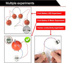 EUDAX Fruit Battery Science Experiment Kit for DIY School Home Teaching Equipment, Orange Lemon Potato Electronic Clock Science Project Kit Physics Educational for Students Teachers (8 Set) by TinyTreasures Baby Boutique