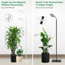 Floor Grow Lights for Indoor Plants, Full Spectrum Plant Light with 68" Stand for Growing Large Tall Plants, Halo Plant Grow Light with 6/12/16H Timer, 3 Light Modes Indoor Plant Light by GreenHaven Gardens