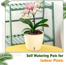 Self-Watering Pots for Indoor Plants, 12-Pack 5'' Self Watering Planter with Drainage Holes, Small African Violet Pots with Water Indicator, Clear Wick Pot, White by CozyNest Decor