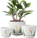 Ceramic Plant Pots with Drainage Holes and Saucers, Round White Flower Pots for Indoor Plant, Diameter 3.3/4.3/5.5 Inches Small Flower Planters Set of 3 by CozyNest Decor