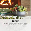 Faux Succulent Arrangement, Premium Artificial Indoor Plant Enhances Interior Design, Display on Any Surface in Your Home Adding an Inviting Touch of Nature, Grey Planter Pot Included by CozyNest Decor