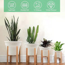 11 Inch Plastic-Flower-Pot-for-Indoor-Plants, 4 Pack Large Outdoor Planter Pot with Drainage Holes & Saucers, Resin Decorative Garden Pots Planters by CozyNest Decor