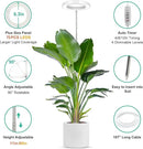 LORDEM Full Spectrum LED Grow Lights, Brightness Adjustable Plant Lamps with Auto On/Off Timer, Height Adjustable Growing Lights for Indoor Plants, Pack of 2 by GreenHaven Gardens