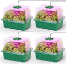 MIXC Seed Starter Kit with Grow Light, Seedling Trays Mini Propagator Plant Grow Kit with Humidity Vented Domes and Base for Seeds Starting Greenhouse by GreenHaven Gardens