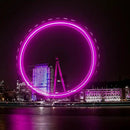 GZBtech Flexible LED Neon Rope Lights 50FT,AC 110-120V Waterproof Strip Light, 120 LEDs/M Cuttable Connectable Neon Lighting for Indoor Outdoor Home Decor/Commercial Building Use-Pink 15M by CozyNest Decor