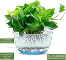 Dexceder 11.2 Inch Self Watering Hanging Planters Indoor Outdoor, Thickened Hanging Basket Flower Plant Pot (2 Pack, White) by CozyNest Decor