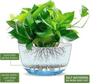 Dexceder 9.8 Inch Self Watering Hanging Planters Indoor Outdoor, Thickened Hanging Basket Flower Plant Pot (2 Pack, White) by CozyNest Decor