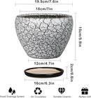 Ceramic Plant Pot 8 Inch - Ceramic Planter for Indoor Plants, Round Flower Pot with Drainage Hole and Saucer, Glaze White and Black by GreenHaven Gardens