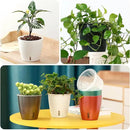 Self Watering Pots for Indoor Plants, 12-Pack 5'' Self Watering Planter with Drainage Holes, Small African Violet Pots with Water Level Indicator, Clear Wick Pot, Black by CozyNest Decor