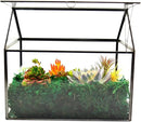 Black 1 Large Glass Plant Terrarium Kit with Lip Greenhouse for Succulents by CozyNest Decor