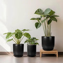 Ceramic Planter Pot - 12 Inch Large Plant Pot with Drainage Hole and Saucer Modern Flower Pot for Indoor Outdoor Plants Home Garden Decor Black by GreenHaven Gardens