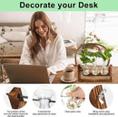 YIBOT Propagation Stations,Plant Terrarium with Retro Wooden Stand, Unique Gardening Birthday Gifts for Women Plant Lovers, Hydroponics Plants Home Office Garden Decor - 3 Bulb Glass Vases by GreenHaven Gardens