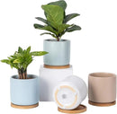 OMAYKEY Succulent Pots, 4 Inch Ceramic Planter Plant Pot with Tray, Drainage Hole & Mesh Pad for Indoor Flowers, Cactus, Herbs, Aloes - Cool Multicolor, Set of 4 (Plant Not Included) by GreenHaven Gardens