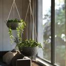 LA JOLIE MUSE Hanging Planters for Indoor Plants, Medium Hanging Planters with Drain Holes, Outdoor Hanging Flower Pots, Matte Black, Honeycomb (10 Inch, Set of 2) by CozyNest Decor