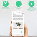 Soil Moisture Meter 4 in 1,Plant Water Monitor,Automatically detect Moisture/Temperature/Light/Fertility,Can Connect to Mobile Phone via Bluetooth,Hygrometer Sensor for Indoor Plants (1pc) by GreenHaven Gardens