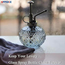 OFFIDIX Plant Mister, Vintage Glass Spray Bottle, Flower Mister 300ML Small Watering Can with Plastic Top Pump, Spray Bottle for Garden, Plants, Cleaning (Gray) by GreenHaven Gardens