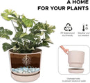 Elly Décor 8 inch Plastic Cylinder Planter Pot with Self-Watering Saucer and Drainage Hole,Lightweight & Extremely Durable, 8"x 8", Ivory by CozyNest Decor