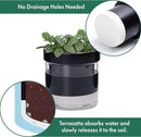 Phoenix Vine 4 Inch Self Watering Planter Pot, Black Terracotta Clay Pot with Glass Reservoir for Indoor Plants, Herbs, Flowers, Set of 3, 52-C-E-3 by GreenHaven Gardens