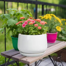 G EPGardening Ceramic Planter 9 Inch - Plant Pots with Drainage and Ceramic Saucer, Flower Pots for Indoor Plants, Modern Outdoor Planter, Living Room Decor, Gifts for Plant Lovers, White by GreenHaven Gardens