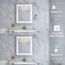 WELLFOR LED Bathroom Vanity Mirror 20 x 28 Inch, Lighted Anti-Fog Dimmable Mirror, IP44 Waterproof Wall Mounted Makeup Mirror, Packed with US Standard Plug and Touch Switch, (Horizontal/Vertical) by CozyNest Decor