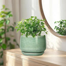 G EPGardening Ceramic Plant Pot - 7 Inch Ceramic Planter for Indoor Outdoor Plants, Flower Pot with Drainage Hole and Tray, Modern Round Planter, Plants Lovers Gifts, Home Garden Decor, Green by GreenHaven Gardens