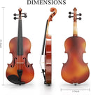 4/4 Beginner Violin Kit for Adults, Complete Full Size Violin Set with Portable Case, Bow, Rosin by TinyTreasures Baby Boutique