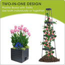 MQFORU Raised Garden Bed, 57" Tomato Planter with Trellis, Tomato Cages for Climbing Vegetables Plant, Self Watering Tomato Support Box for Garden Pots, Use for Patios Greenhouse Indoor Outdoor（1Pc） by GreenHaven Gardens