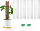 15 Inch 8 Pcs Plastic Moss Pole for Plants Monstera, 8×15'' Plant Poles for Climbing Plants, Plant Support for Indoor Plants Work with Sphagnum Moss, Clear by GreenHaven Gardens