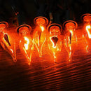 12.8Ft Christmas Lights Flickering Flame String Lights with 12 Pack Clear C7 Flame Light Bulbs（2 Spare）, Great for Indoor Outdoor Home Patio Party Christmas Decorations Lights, 1W, E12 Base by GreenHaven Gardens