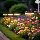 Solar Swaying Lights 4 Pack,Solar Path Lights Warm White LED Square,High Flexible Wire and Large Light Source P67 Waterproof, Solar Powered Suitable for Pathway Flower Pots Balcony Terrace Decoration by GreenHaven Gardens