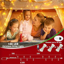 33ft 100 LED Christmas Lights Outdoor Waterproof, Warm White Christmas String Lights Indoor Clear Wire 8 Modes, Plug in Twinkle Fairy String Lights for Bedroom Wedding Home Party Garden Decorations by GreenHaven Gardens
