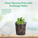 60 Packs 3.5 Inch Reinforced Clear Nursery Pots with Drainage Hole, Transparent Variety Pack Plastic Plant Pot Seedling Planter Seed Starter Flower by GreenHaven Gardens