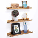 AZSKY Floating Shelves Set of 3, Picture Ledge Shelf, 24 Inches Long Large Nursery Book Shelves for Toys Storage, Kids Bookshelf Wall Mounted for Living Room Bedroom Decor Books Photo Frames by CozyNest Decor