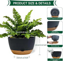 8 Inch Pots for Indoor Plants, Self Watering Planters with Drainage and Saucers, Plastic Outdoor Flower Pot, Set of 2, Grey by GreenHaven Gardens