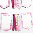 Pink One Silly Goose 1st Birthday Photo Banner Garland from Newborn to 12 Months Paper Photo Banner with Gradient Pink Ribbon for Monthly Milestones Baby Girl First Birthday Party Decorations Supplies by TinyTreasures Baby Boutique