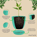 Planter Pots with Drainage Holes - Lightweight, Durable, and Space-Saving Pots for Indoor and Outdoor - Versatile Functionality, Simple Modern Design, Set of 20 Plastic Planter Pots - Aqua by GreenHaven Gardens