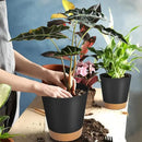 GARDIFE Plant Pots 7/6.5/6/5.5/5 Inch Self Watering Planters with Drainage Hole, Plastic Flower Pots, Nursery Planting Pot for All House Plants, African Violet, Flowers, and Cactus,Black by GreenHaven Gardens
