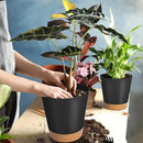 GARDIFE Plant Pots 8/7/6.5/6/5.5/5 Inch Self Watering Planters with Drainage Hole, Plastic Flower Pots, Nursery Planting Pot for All House Plants, African Violet, Flowers, and Cactus,Black by GreenHaven Gardens