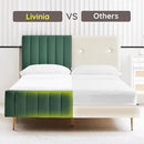 Livinia Queen Size Elton Velvet Platform Bed, Upholstered Bed Frame with Vertical Channel Tufted Headboard Footboard, Strong Wood Slats, No Box Spring Needed, Green (Queen) by CozyNest Decor