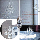 H&D HYALINE & DORA Crystals Ball Prisms Suncatcher Hanging Ornament Hanger Rainbow Maker with Hook by GreenHaven Gardens