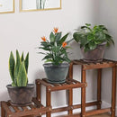 11 inch Plant Pot, 3 Pack Large Pots for Plants, Flower Pots with Drainage Hole & Saucer, Modern Planters for Indoor Outdoor Plants, Decorative Plastic Garden Pots (Copper) by CozyNest Decor